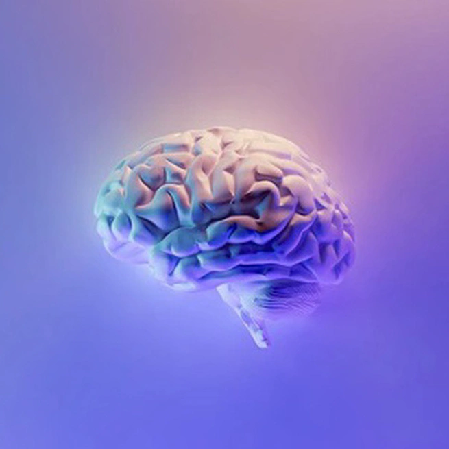 【2026年01月17日】每日更新！高速免费节点，SSR/V2ray/Clash订阅链接